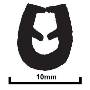CMO117-0