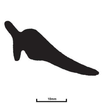 TSE338-0