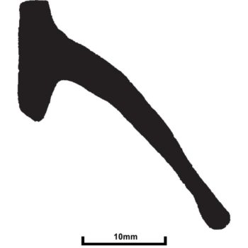 TSE304-0