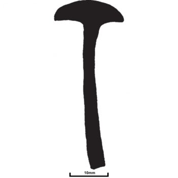 TSE239-0