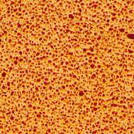 Technical Quality Fine Pore Medium-High Density Open Cell Sponge Rubber-0