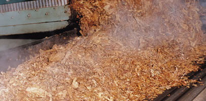 Tobacco Conveyor Belts